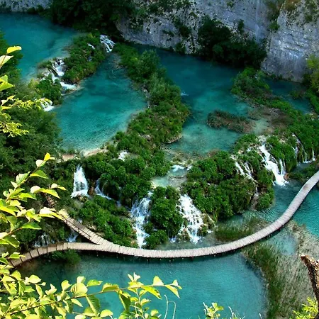 The Mellow Monkey Albergue Zadar