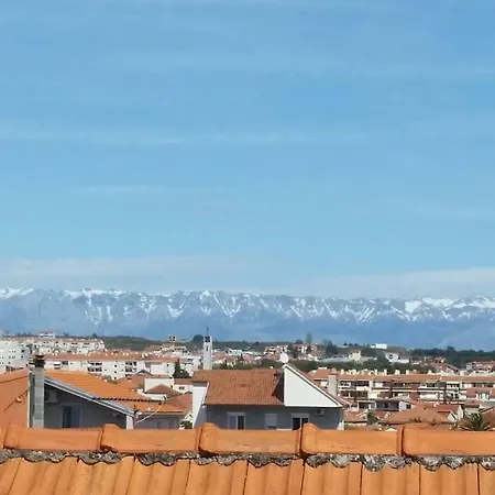 Albergue The Mellow Monkey *