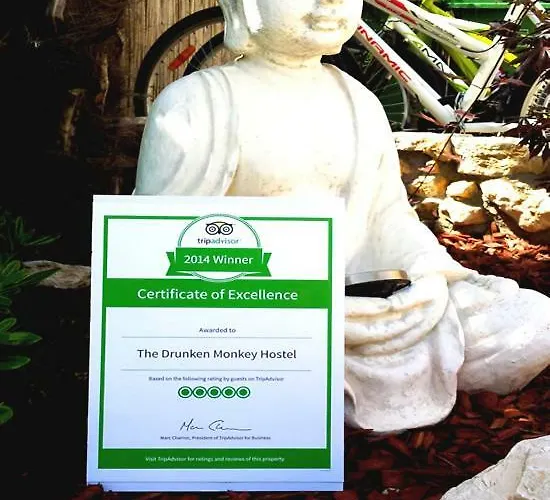 The Mellow Monkey Albergue