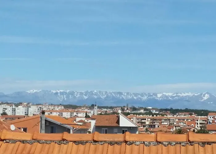 Albergue The Mellow Monkey *