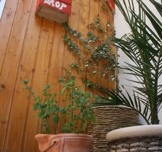 Albergue The Mellow Monkey Zadar