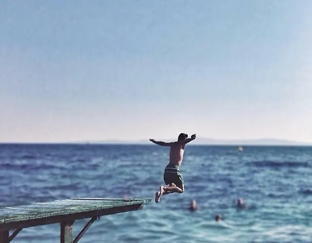 The Mellow Monkey Albergue