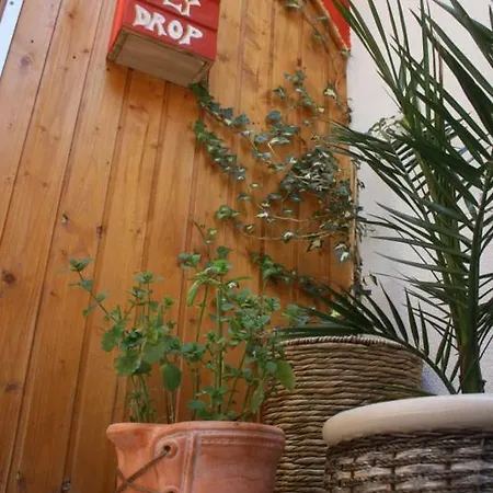 Hostal The Mellow Monkey Zadar