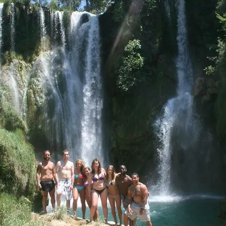 The Mellow Monkey * Zadar