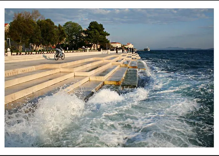 The Mellow Monkey Hostel