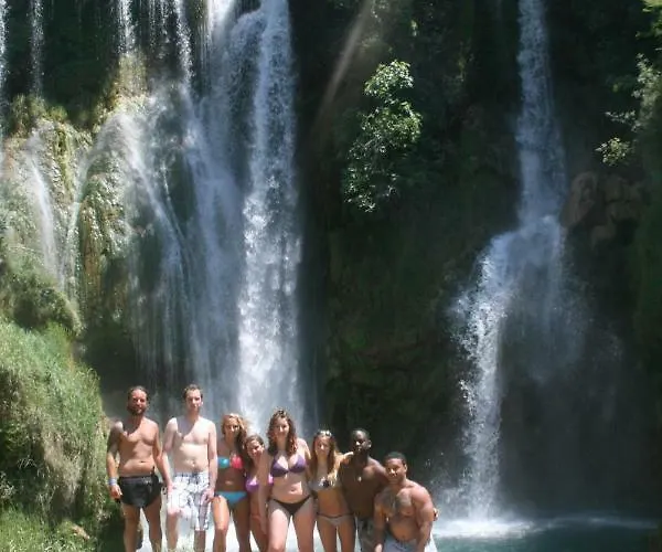 The Mellow Monkey * Zadar